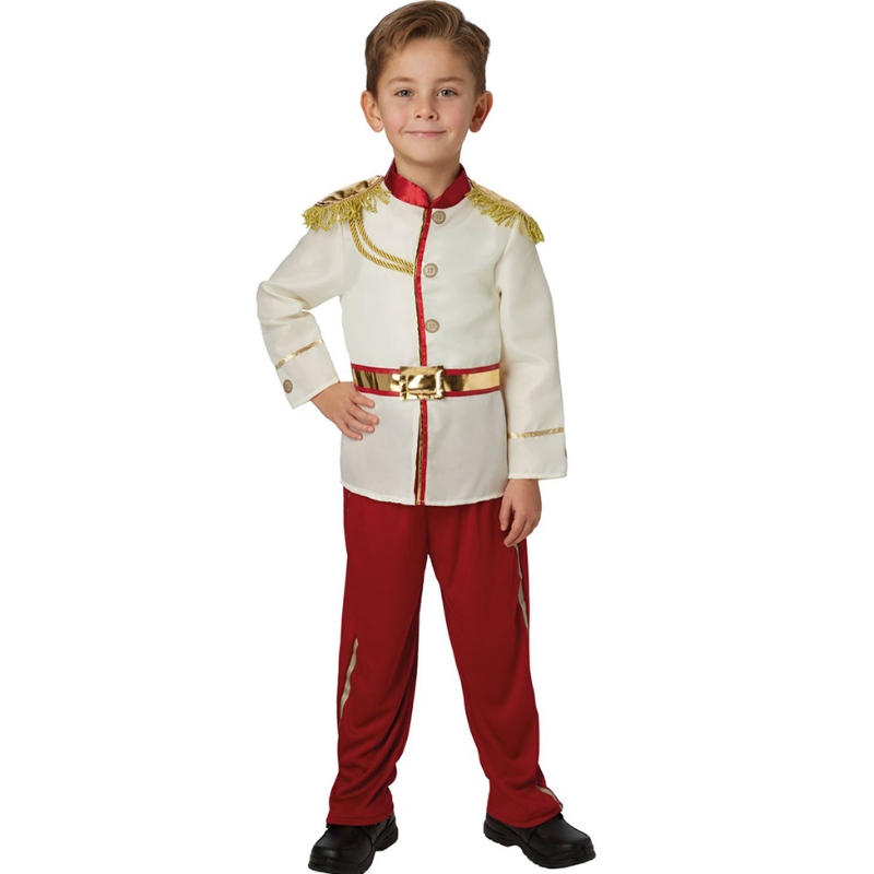 Costume affascinante del principe Prince vestire il costume da outfit del principe reale medievale per ragazzi per bambini di età compresa tra 3 e 14 anni
